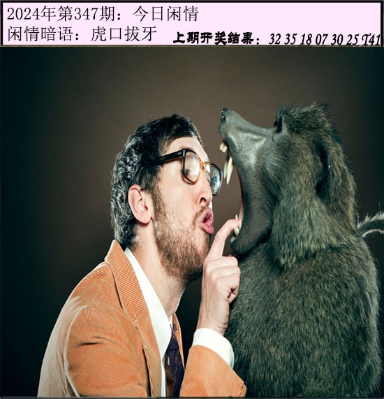 347期今日闲情[图]