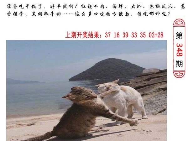 348期澳门生活幽默[图]