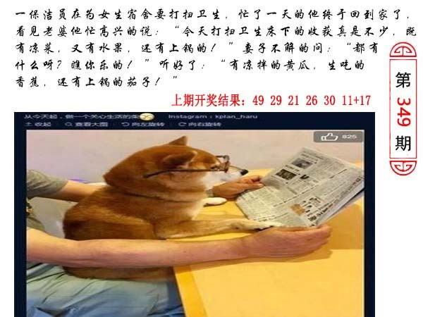 349期澳门生活幽默[图]