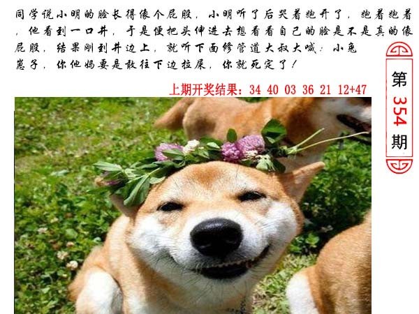 354期澳门生活幽默[图]