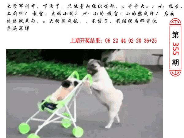 355期澳门生活幽默[图]