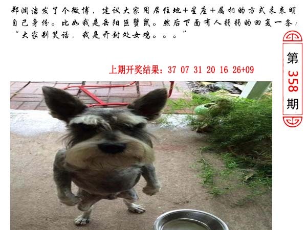 358期澳门生活幽默[图]