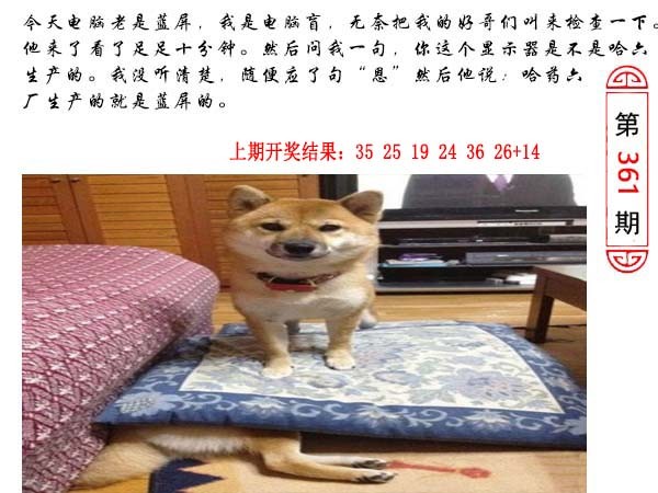 361期澳门生活幽默[图]