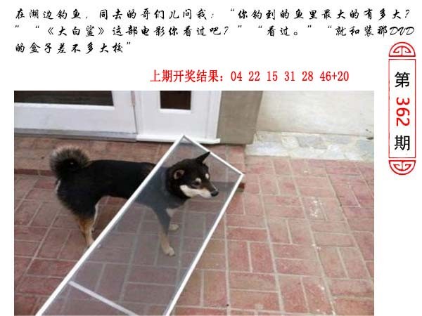 362期澳门生活幽默[图]