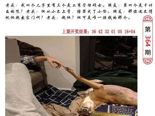 364期澳门生活幽默[图]