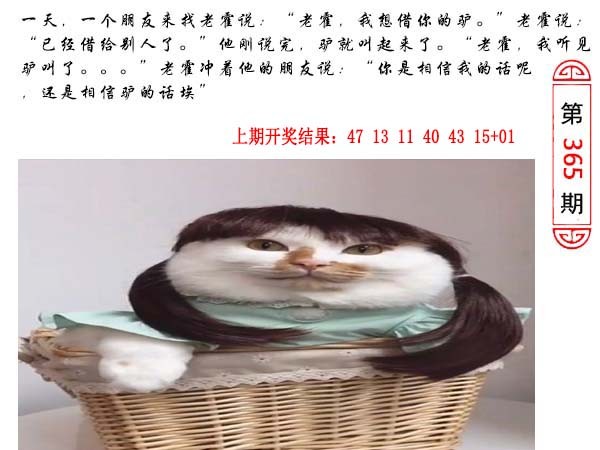 365期澳门生活幽默[图]