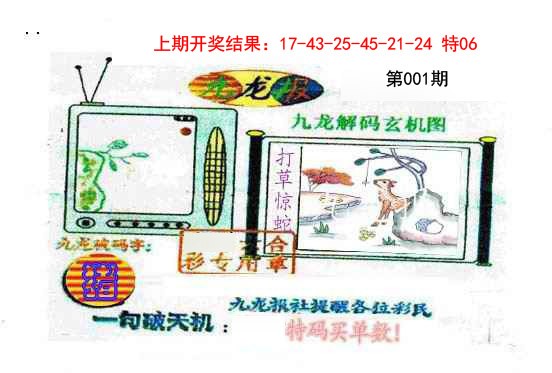 001期九龙报[图]