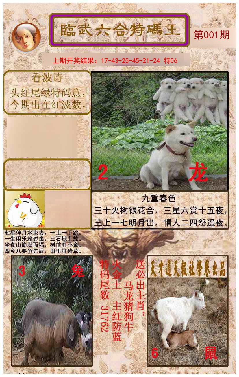 001期临武六合特码王[图]