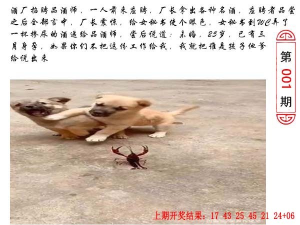 001期澳门生活幽默[图]