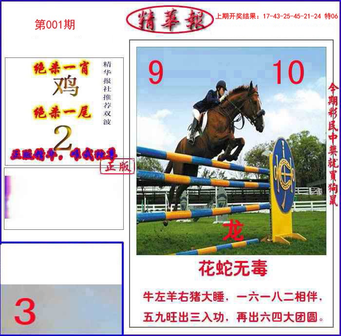 001期新精华报报[图]