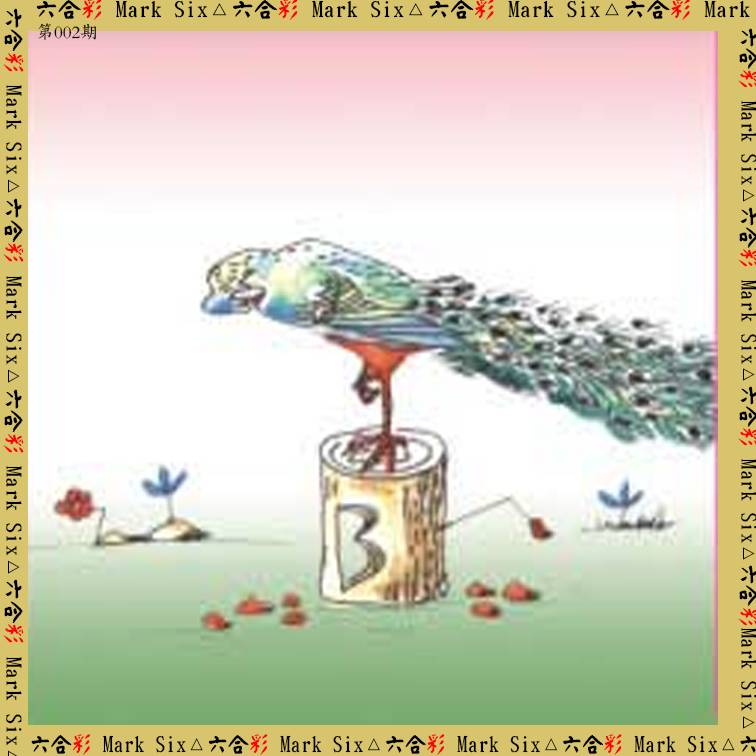 002期藏宝图[图]