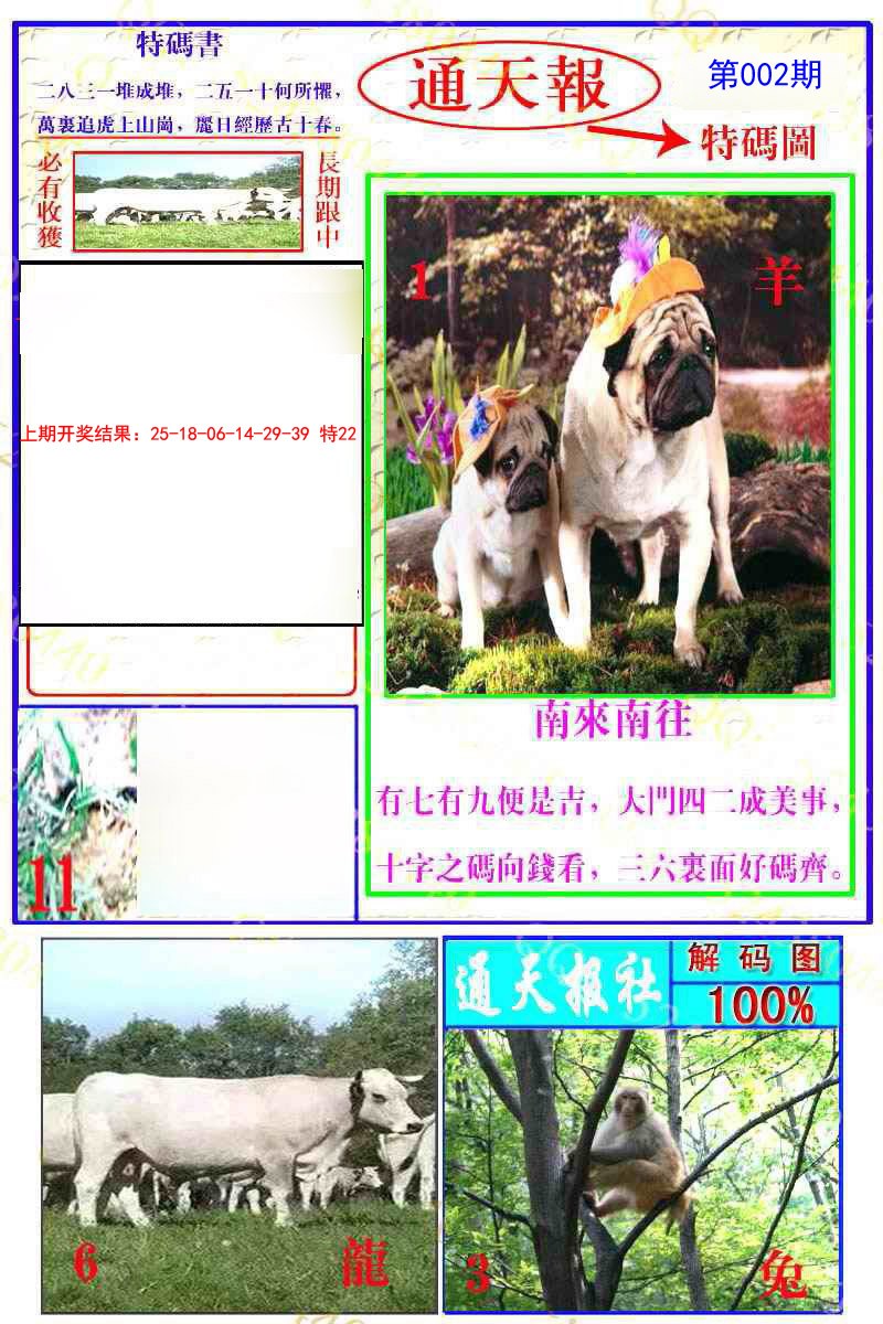 002期通天特解图[图]