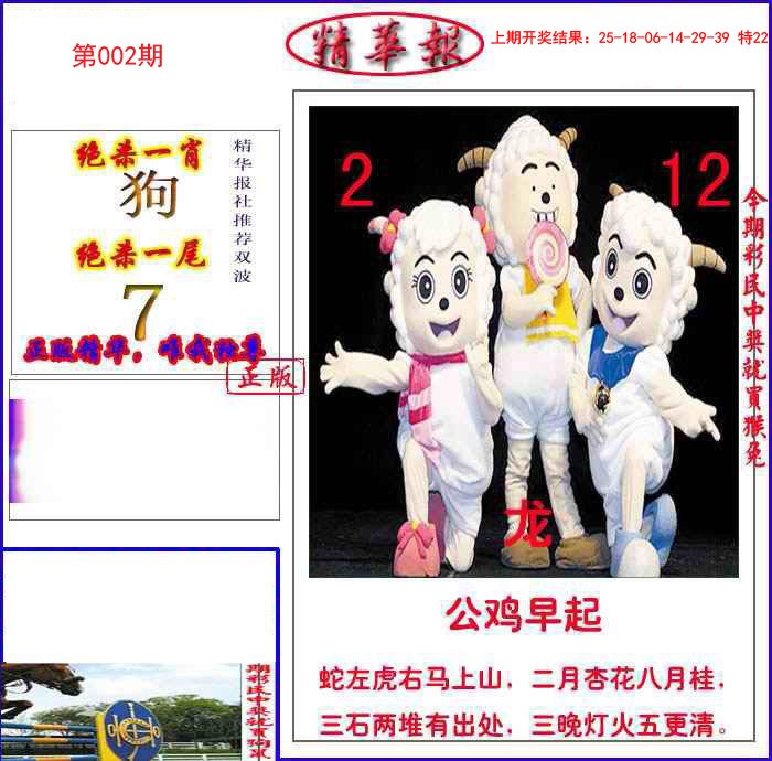 002期新精华报报[图]