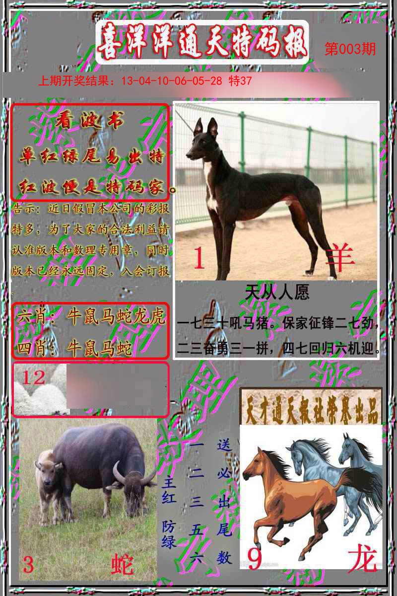 003期洋通报[图]