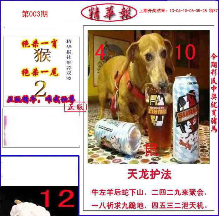 003期新精华报报[图]