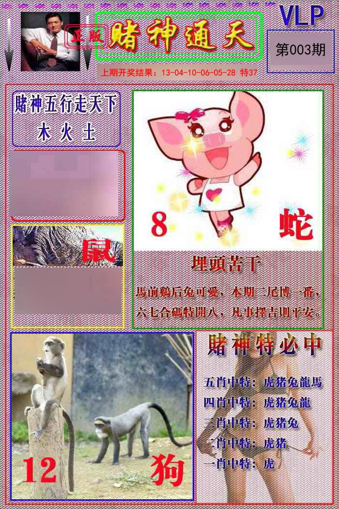003期赌神通天报[图]
