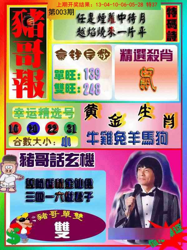 003期猪哥报[图]