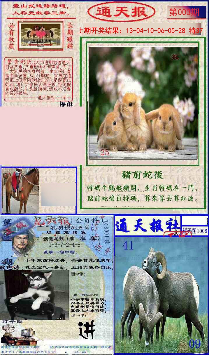 003期实力通天报[图]