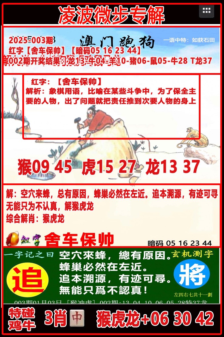 003期凌波微步[图]