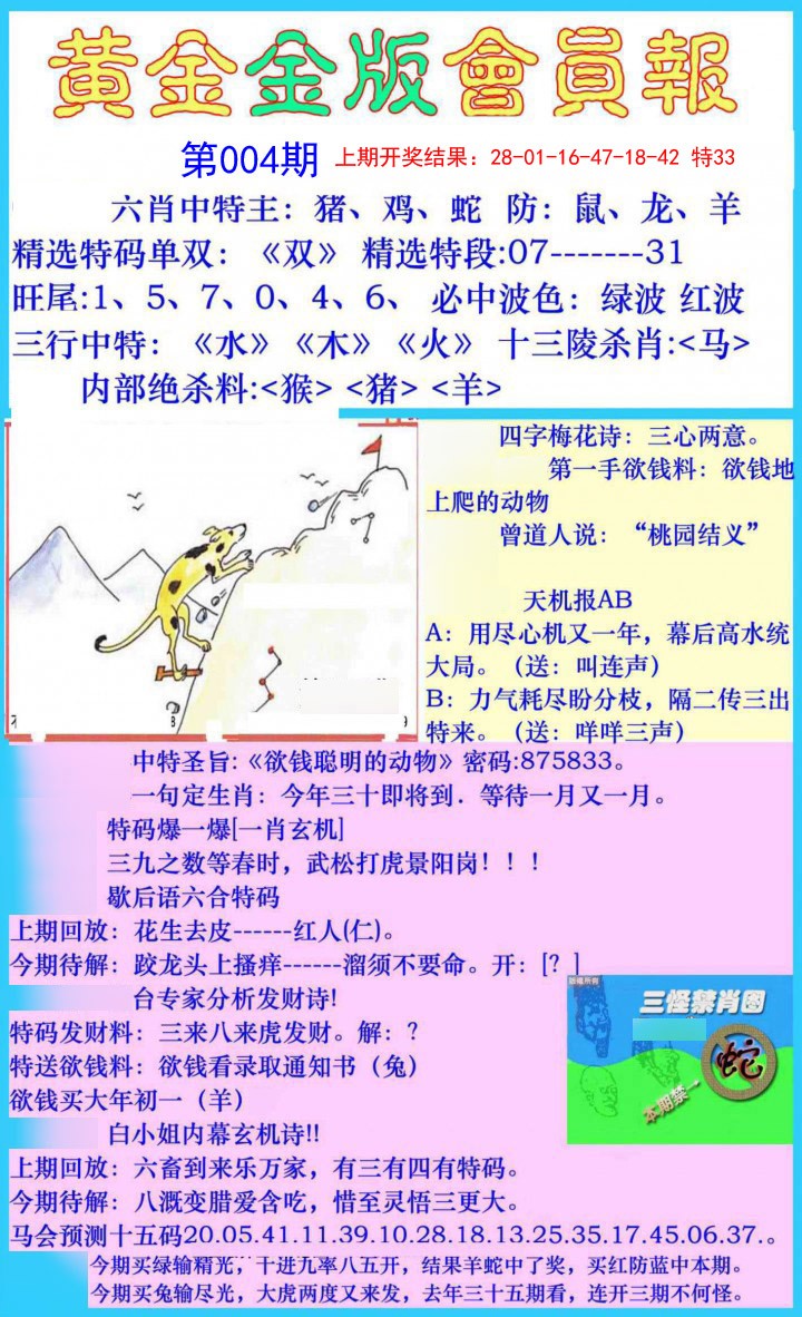 004期黄金金版会员报[图]