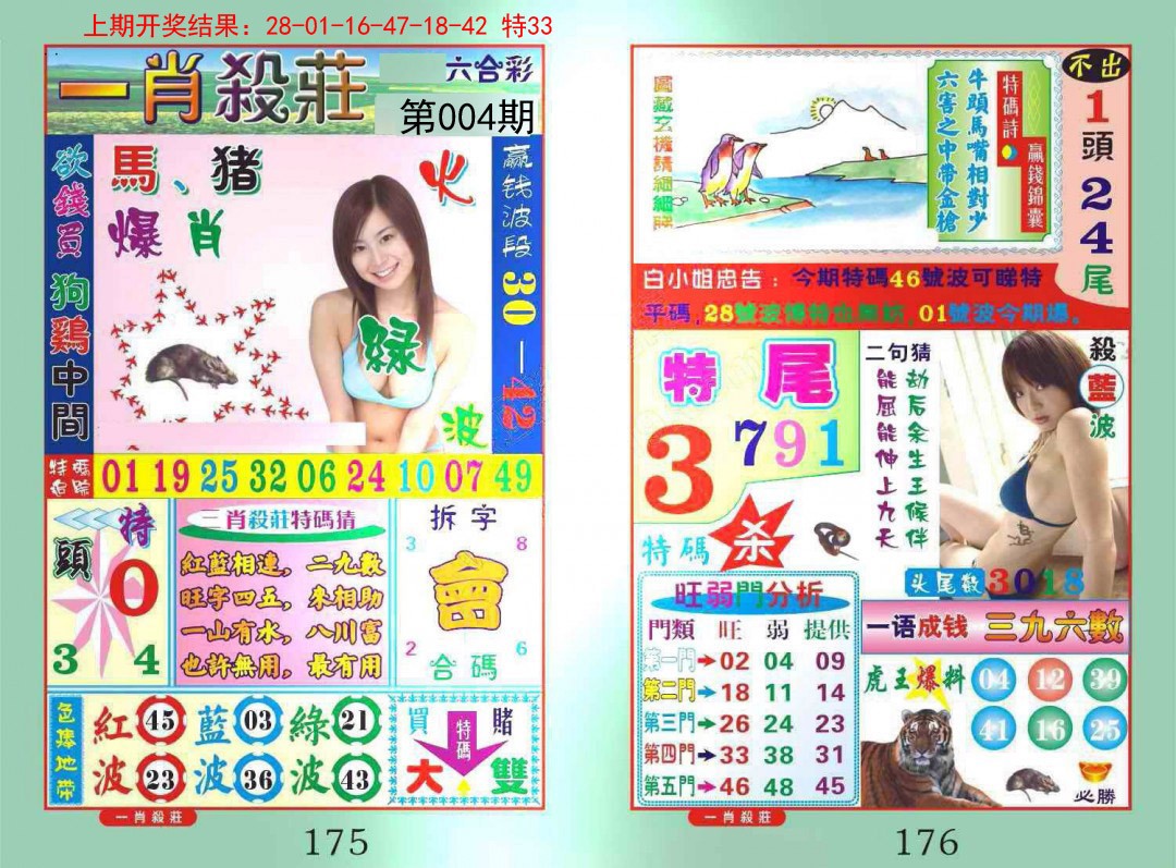 004期一夜富[图]