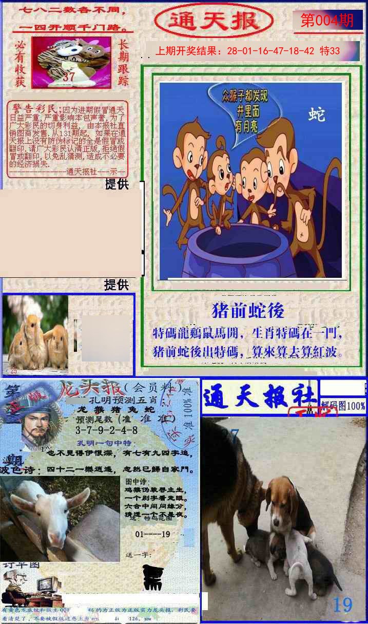 004期实力通天报[图]