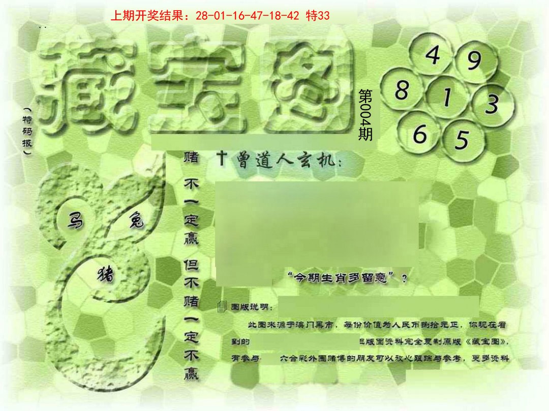 004期假新藏宝图[图]