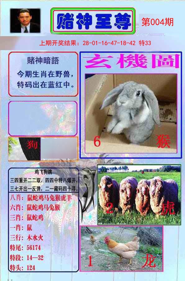 004期赌神至尊[图]