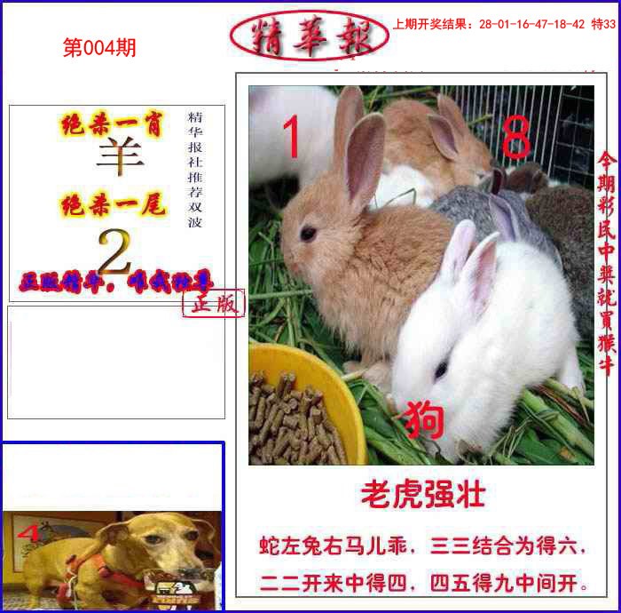 004期新精华报报[图]