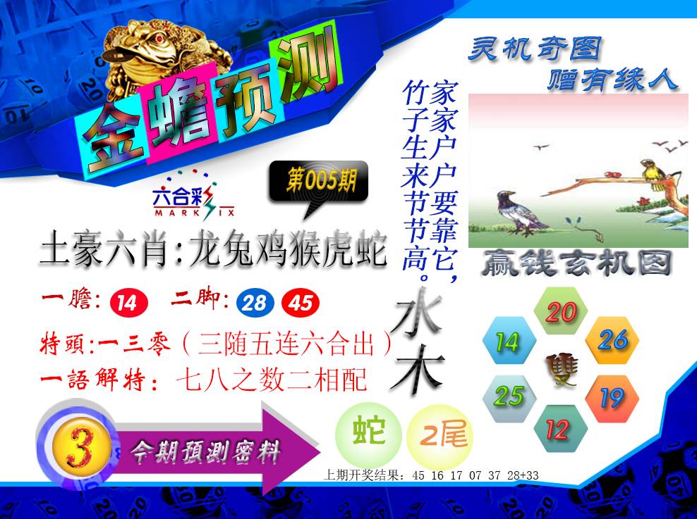 005期金蟾预测[图]
