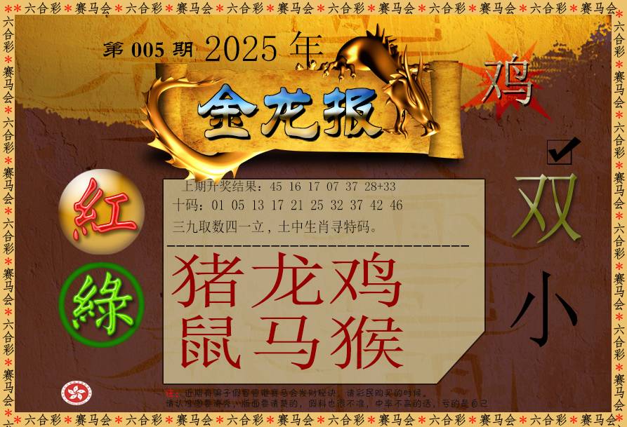 005期金龙报[图]