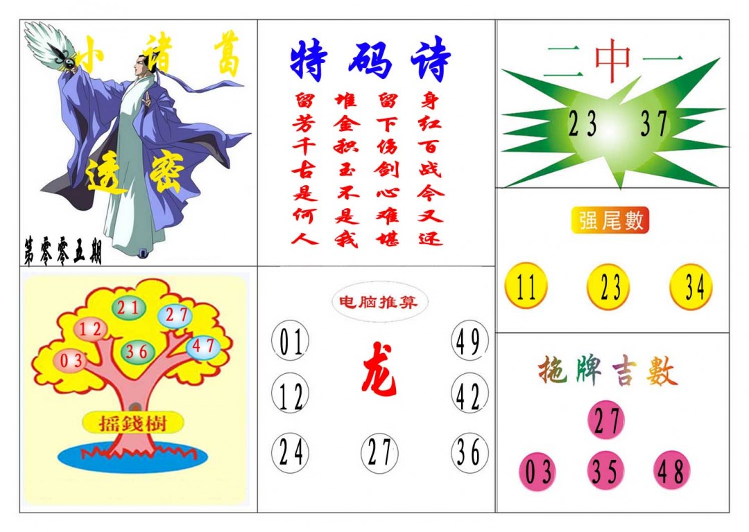 005期小诸葛[图]