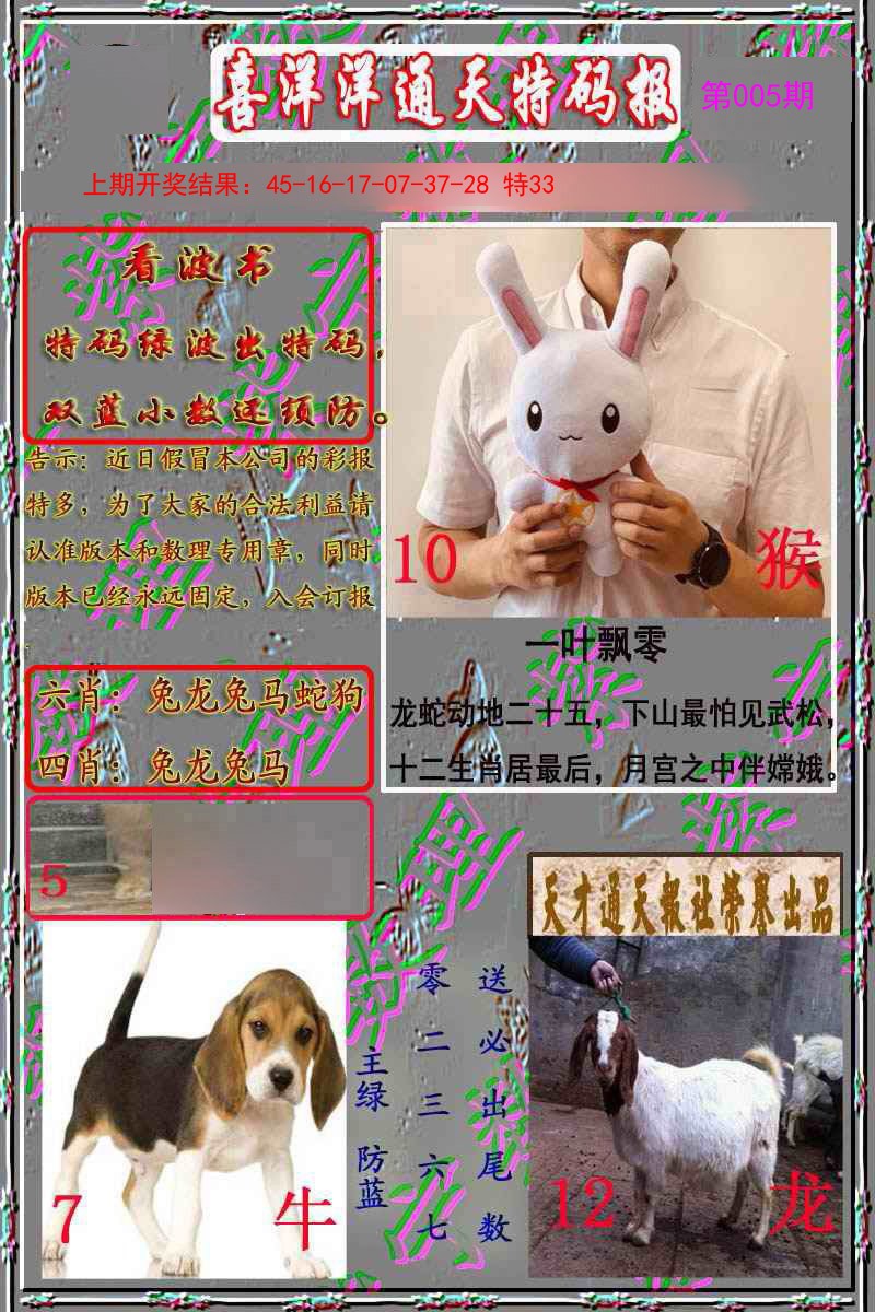 005期洋通报[图]