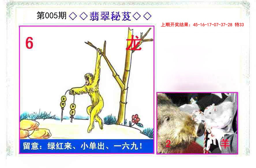 005期翡翠报[图]