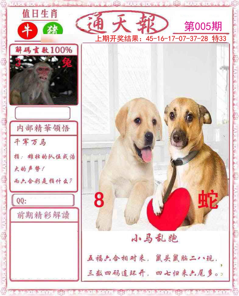 005期正版通天报[图]