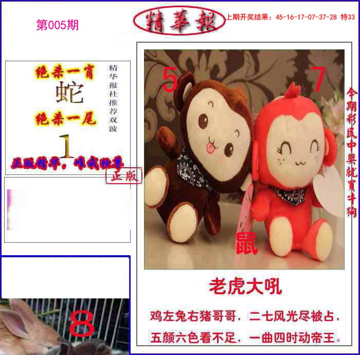 005期新精华报报[图]