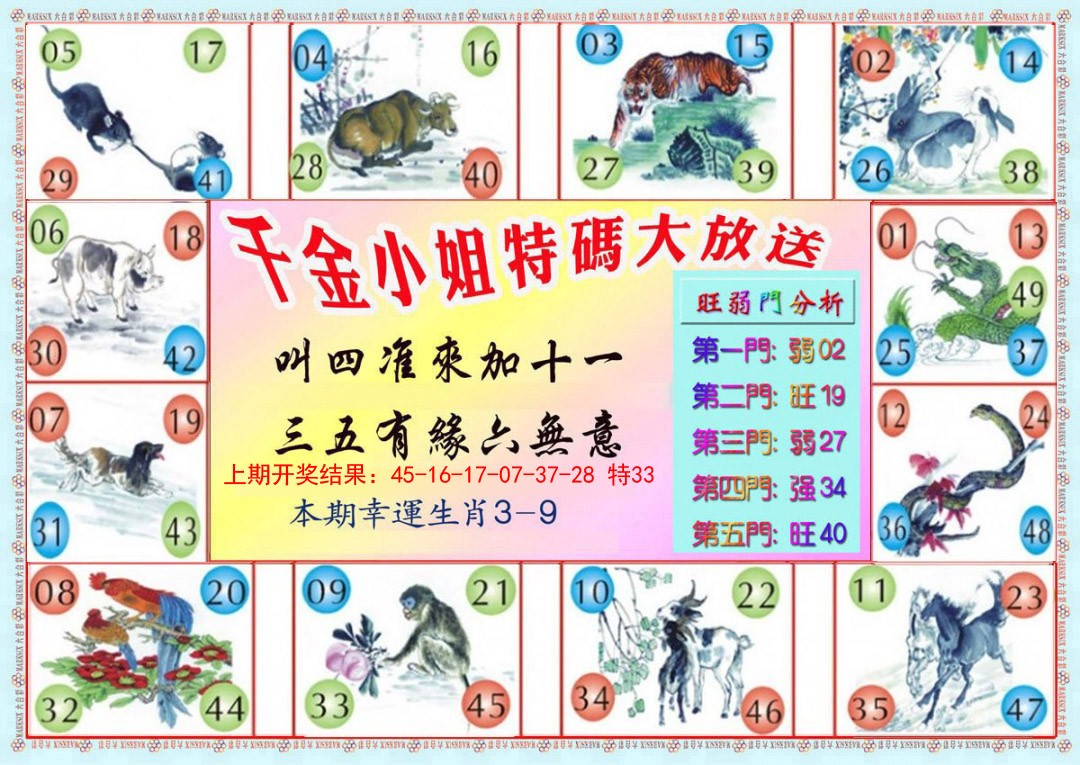 005期千金小姐B版[图]