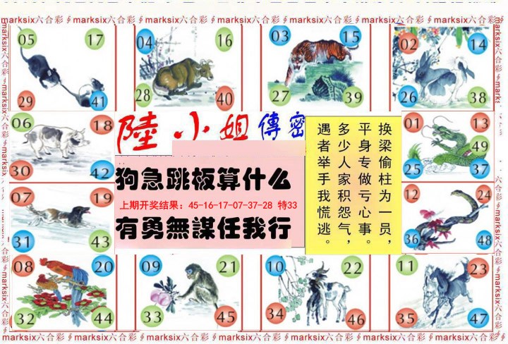 005期陆小姐传密B[图]