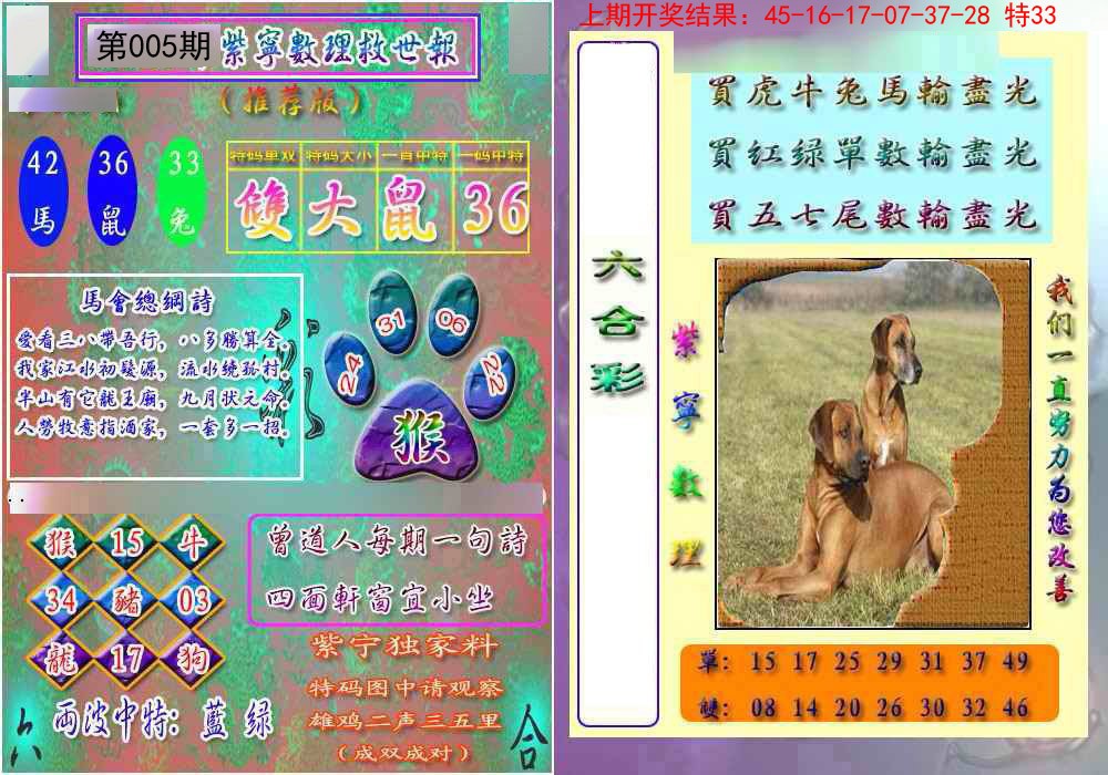 005期数理救世报[图]