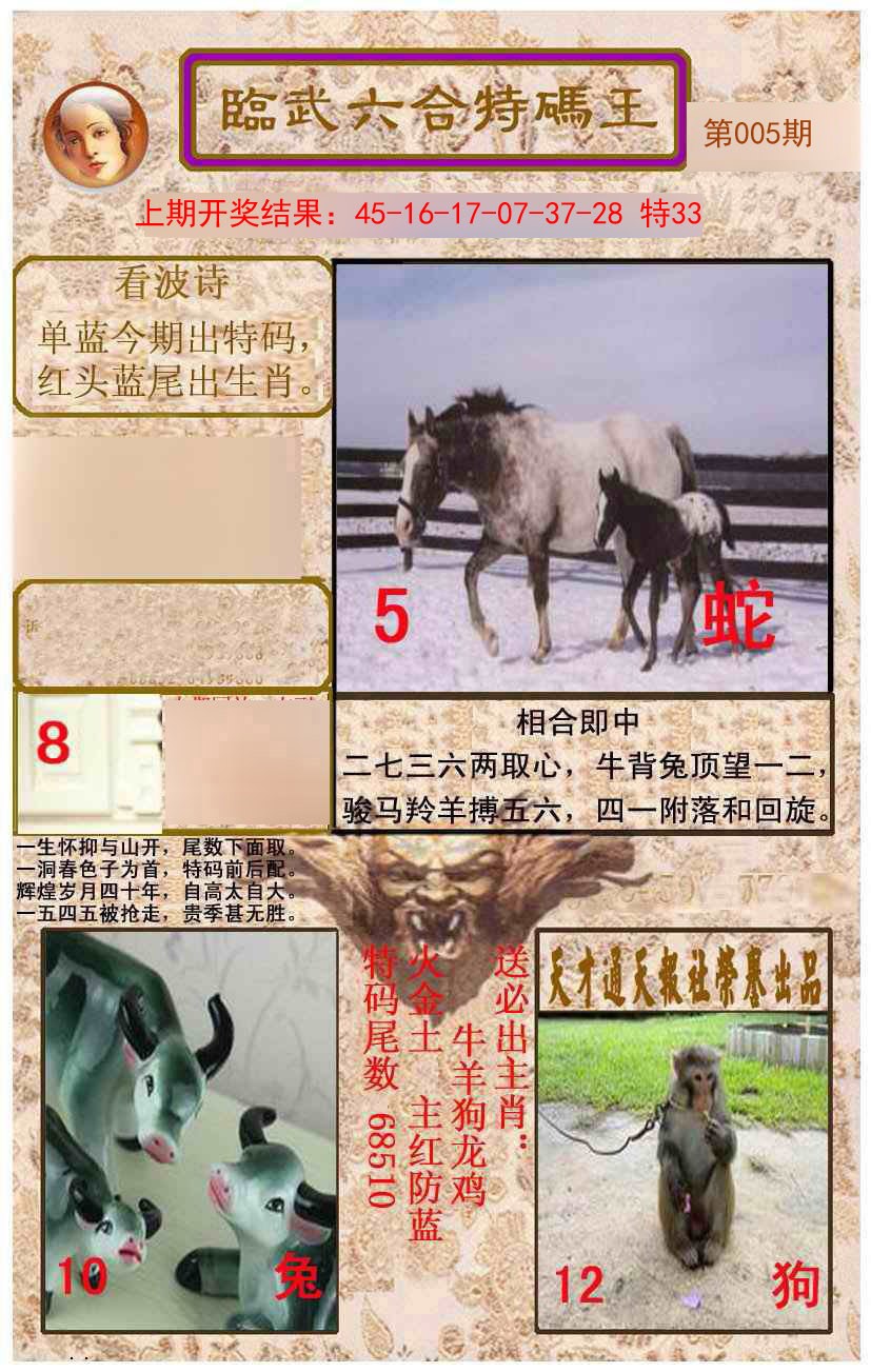 005期临武六合特码王[图]