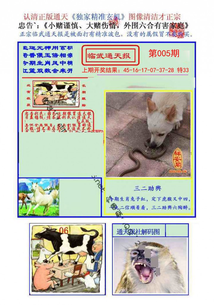005期临武通天报[图]
