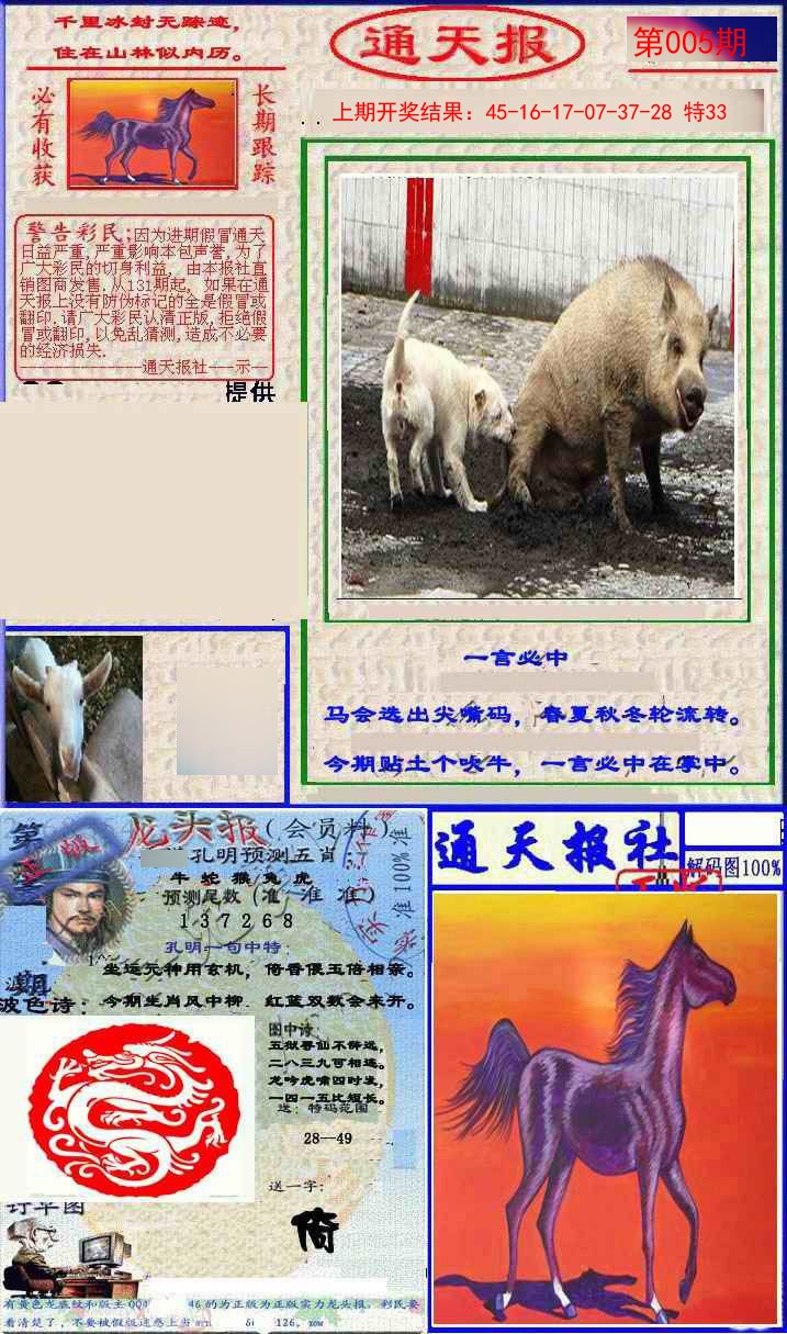 005期实力通天报[图]