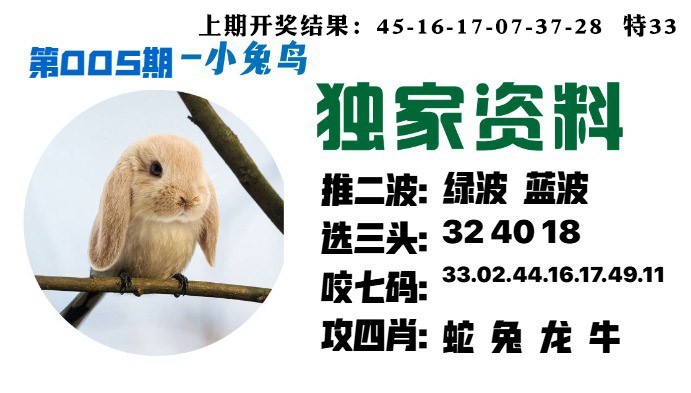 005期小兔鸟[图]