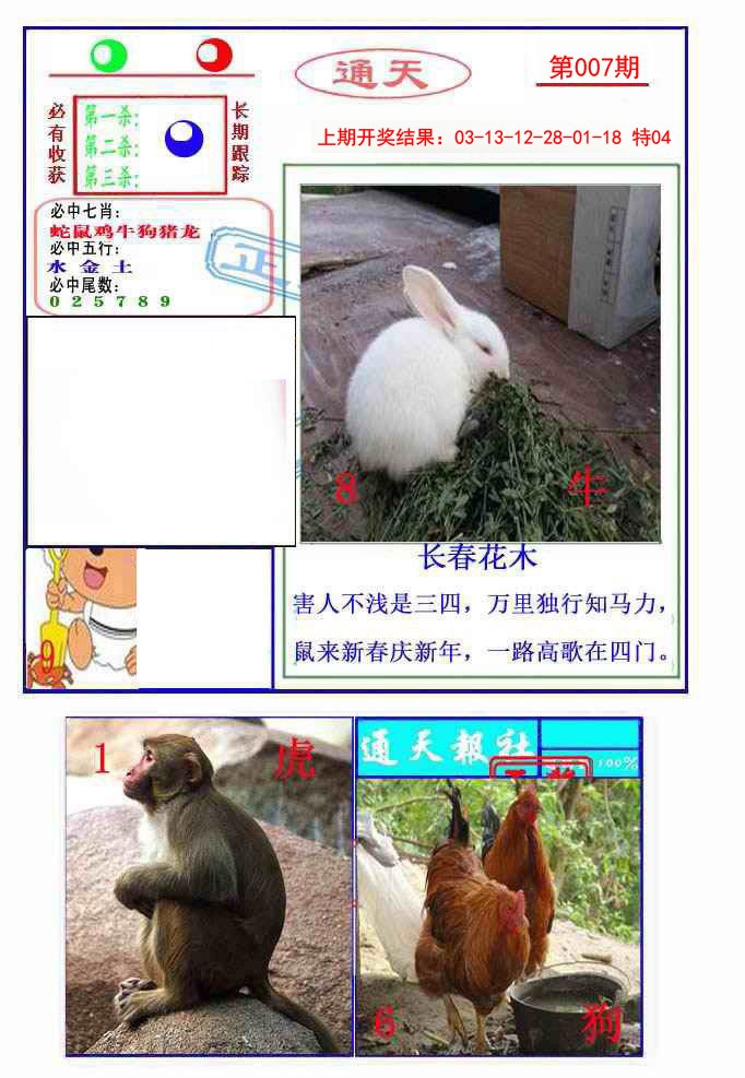 007期通天杀波图2[图]