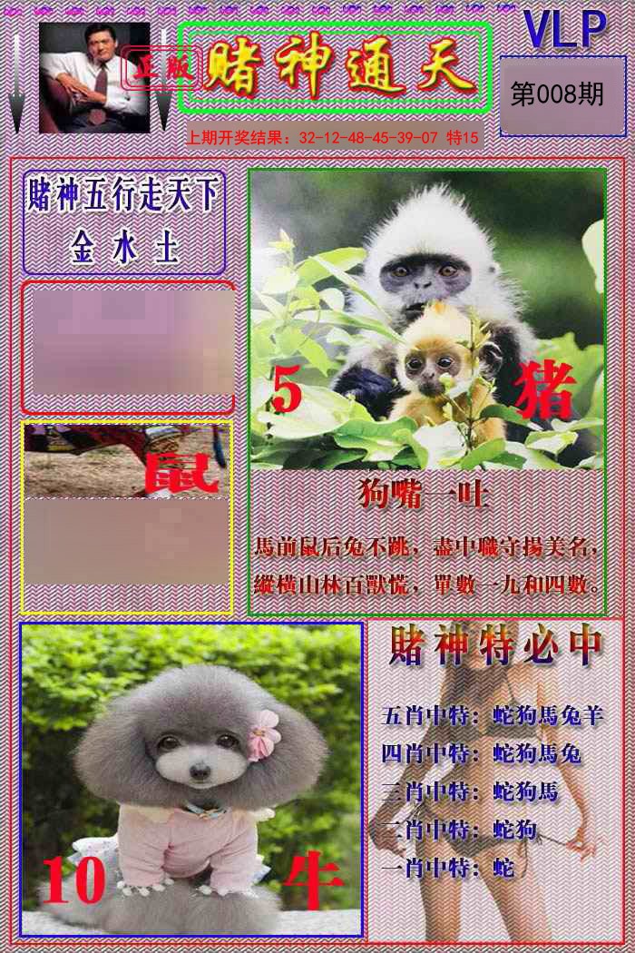 008期赌神通天报[图]