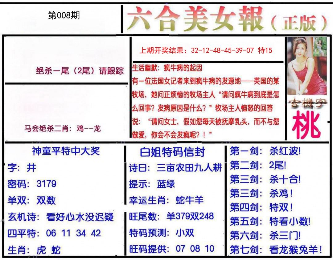 008期美女报[图]