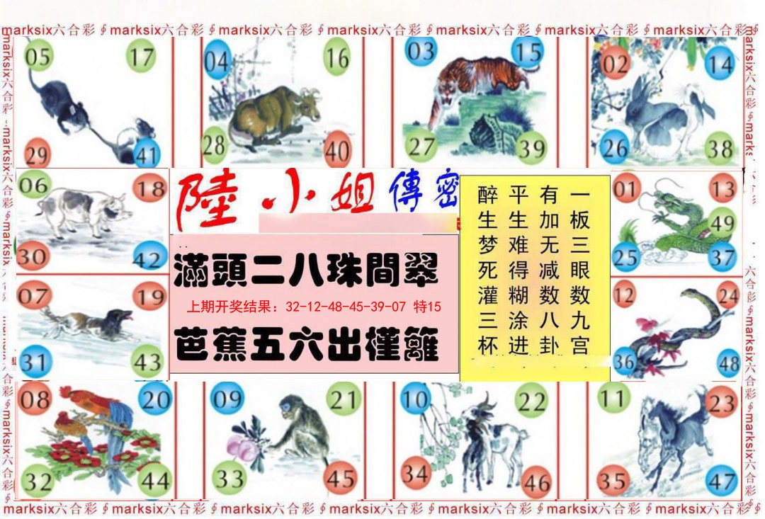 008期陆小姐传密B[图]