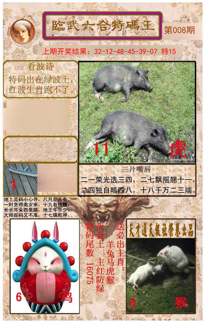 008期临武六合特码王[图]
