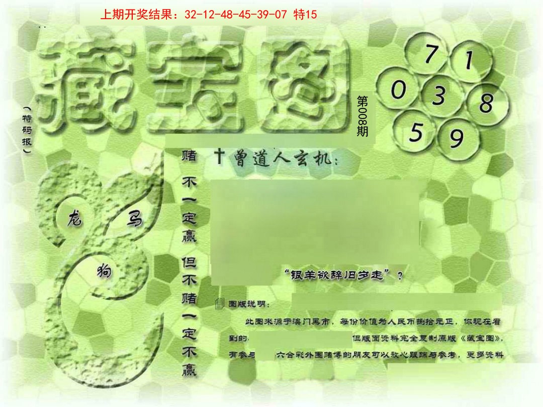 008期假新藏宝图[图]