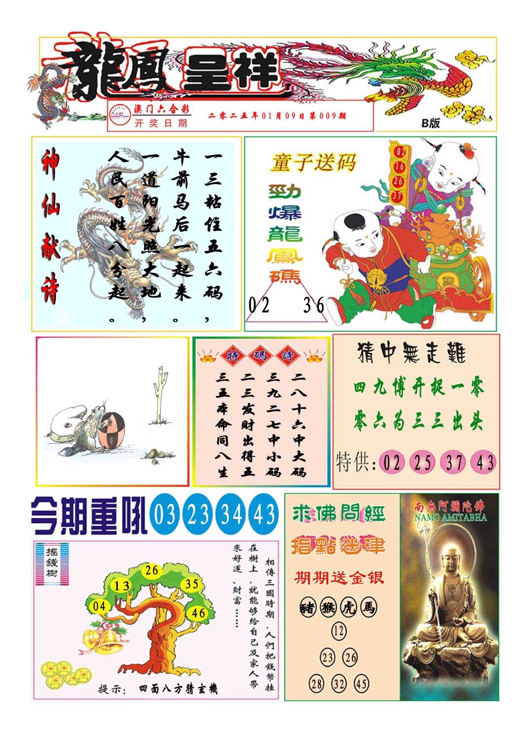 009期龙凤呈祥B[图]